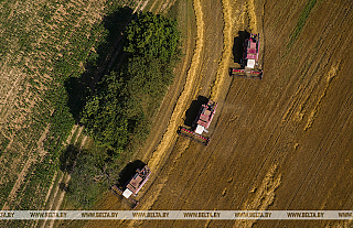 Trys Gardino srities rajonai pradėjo nuimti vasarinių miežių derlių