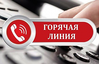 25 ноября в КГК будут работать телефоны «горячей линии»