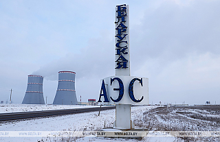 Эксперт: экологическая ситуация в Беларуси после запуска БелАЭС не изменилась