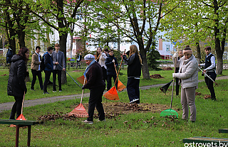 Ворнянские школьники и педагоги навели чистоту в парке