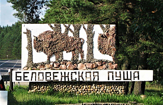 Конкурс на разработку концепции комплексного развития и благоустройства национального парка "Беловежская пуща"