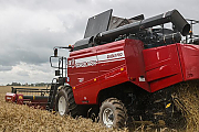 В Беларуси намолочено 7,7 млн тонн зерна с учетом рапса
