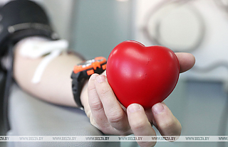 Рекордное количество цельной донорской крови было заготовлено в 2023 году в Беларуси
