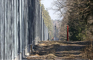 Стена недопонимания. Польский забор на границе загубит Беловежскую пущу?
