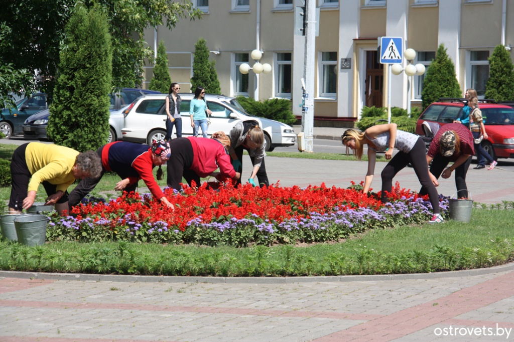 Кветкаводы.jpg Кветкаводы.jpg