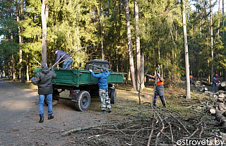 Районный субботник: когда вместе -- чище и лучше!