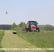 Все районы Гродненской области приступили к заготовке кормов