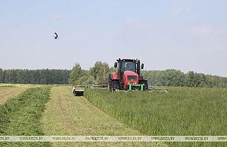 Все районы Гродненской области приступили к заготовке кормов