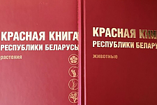 В Красную книгу Беларуси добавлены 13 видов животных и 5 видов растений