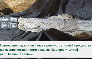 Нарушителя с аэростатическими шарами задержали вблизи белорусско-литовской границы