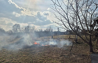 Палы: что делать, если увидели горящую траву