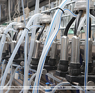 Сельское хозяйство и "кондитерка". Александр Лукашенко едет в Наровлянский район