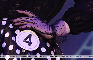 Стартовал прием заявок на конкурс среди многодетных женщин "Краса Беларуси - 2026"