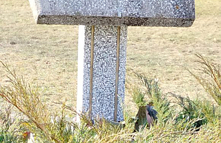 3 этап конкурсу “Сваё, астравецкае: якая школа мае тры дні нараджэння?