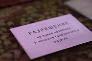 МВД проведет профилактическую акцию "Арсенал" для выявления нелегального оружия