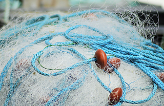 Житель Островецкого района рыбачил сетями из лески, что категорически запрещено