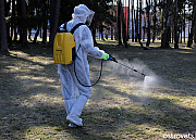 Клещи атакуют. Что поможет