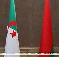 Александр Лукашенко 2-3 декабря совершит официальный визит в Алжир