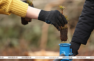Какие гражданские инициативы реализованы в Год благоустройства, рассказали в МЖКХ