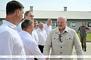 "Почему не интенсифицировать процесс?" Александр Лукашенко поставил принципиальные вопросы в сфере козоводства 