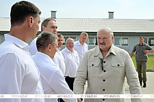 "Почему не интенсифицировать процесс?" Александр Лукашенко поставил принципиальные вопросы в сфере козоводства 