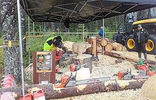 В международной выставке лесозаготовительной техники Elmia Wood – 2017 в Швеции принял участие директор Островецкого лесхоза 