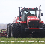 В Беларуси засеяна четверть площадей яровых культур