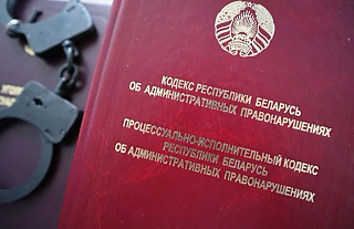 Ответственность за оскорбление должностного лица таможенных органов в связи с исполнением им служебных обязанностей