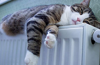 Когда в Беларуси отключат отопление