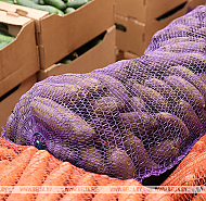 Грибы, клюква, овощи. Белкоопсоюз рассказал о закупках продукции у населения