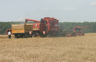Темпы работы сельхозкооператива "Гервяты" по уборке урожая обеспечиваются правильной организацией