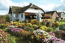 Что о районном конкурсе к Году благоустройства говорят победители