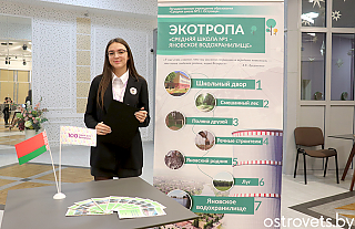 Островчане и ворнянцы – в числе победителей зонального тура конкурса «100 идей для Беларуси» 
