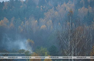 В МЧС напомнили о факторах опасности из-за тумана