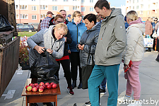 Приглашаем к участию в ярмарке производителей сельхозпродукции
