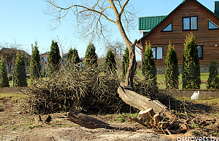В рейд по Гудогайскому сельсовету отправился корреспондент газеты