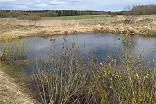 Маленькая девочка упала в пруд в Вороновском районе