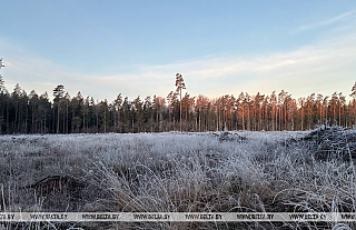 В Беларуси объявлено штормовое предупреждение на 24 апреля из-за заморозков