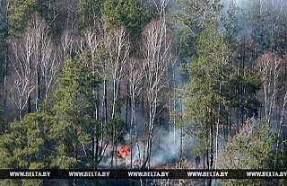 Палы травы стали причиной четырех пожаров за сутки в Гродненской области