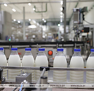 Сколько сельхозпродукции произвели в Беларуси за январь-сентябрь этого года, рассказали в Белстате