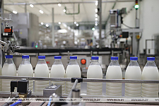 Сколько сельхозпродукции произвели в Беларуси за январь-сентябрь этого года, рассказали в Белстате