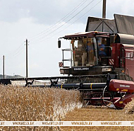 В Беларуси намолочено 10,4 млн тонн зерна с учетом рапса и кукурузы