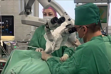 В Беларуси провели первую операцию по удалению опухоли возле уха новым способом
