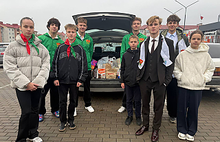 Небезразличные: как волонтёры островецкой гимназии помогают бездомным животным