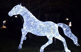 Остров любви и красок: в Островце появились новые новогодние инсталляции