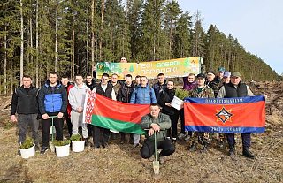Фотофакт. Работники Островецкого РОЧС поучаствовали в акции «Лес! Добро! Порядок!» по посадке леса в нашем районе