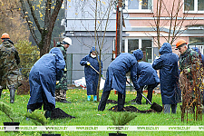 Белстат: более Br19,6 млн заработано на республиканском субботнике