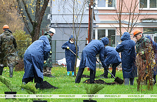 Белстат: более Br19,6 млн заработано на республиканском субботнике