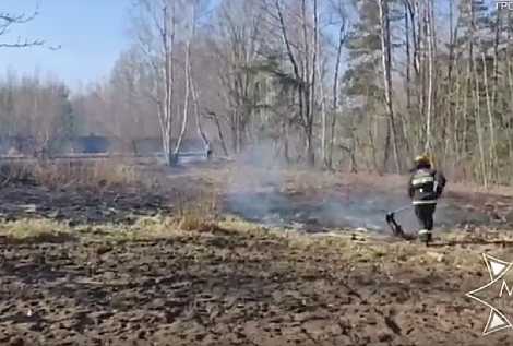 Как безопасно навести порядок на участке и не допустить пожара? Важные советы