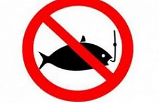 С 1 апреля вводятся ограничения на ловлю отдельных видов рыб